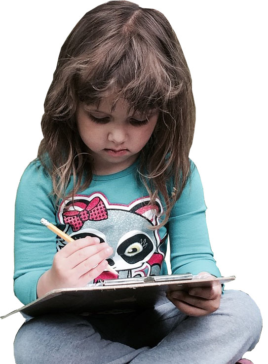 卡密自动发货的网络攻击软件